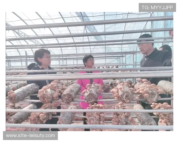 十二师体育场建设获“访惠聚”工作队支持，社区运动氛围浓厚