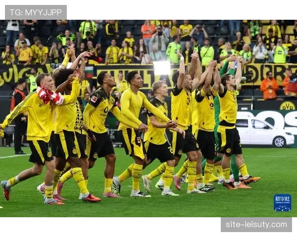 专栏：传统德国力量型足球在当今德甲是否仍有生存空间？